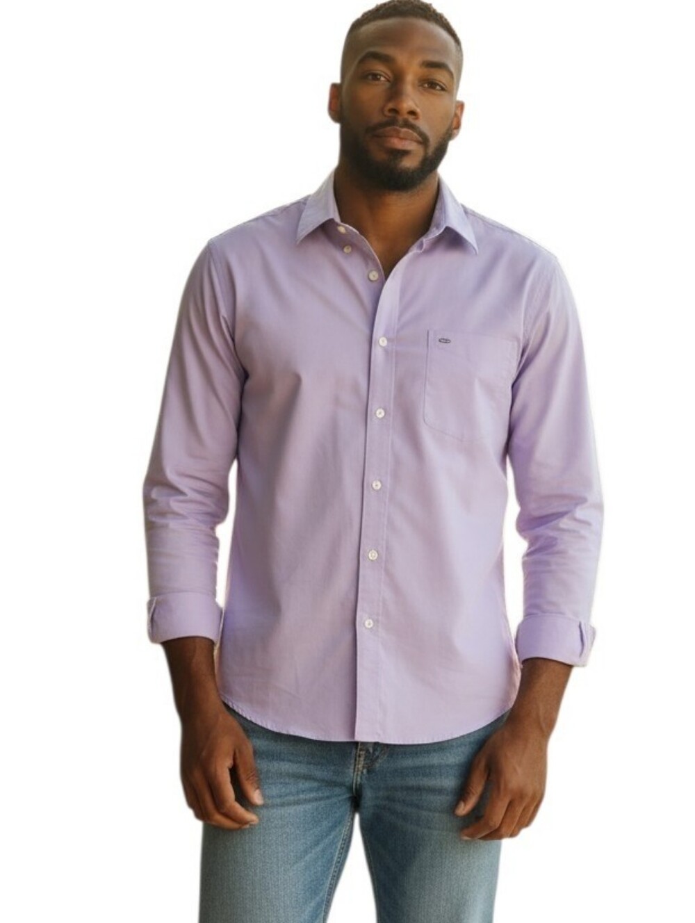 Arrow Men's Lavender Long Sleeve Shirt 16-16 1/2